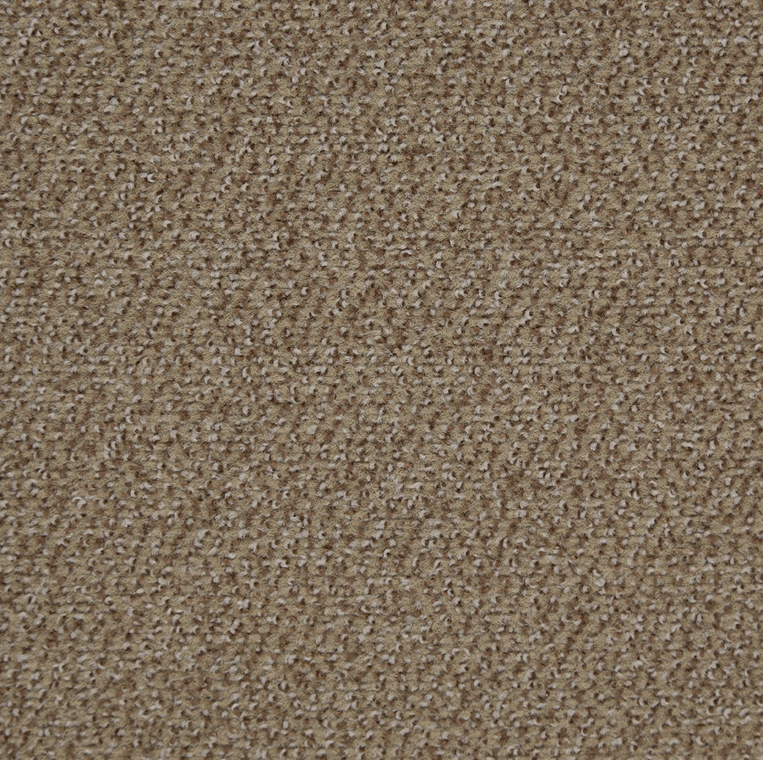 Belmont Carpet Sandstone