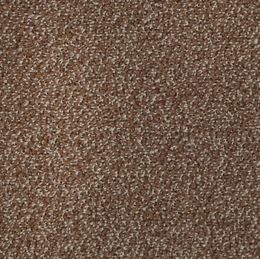 Belmont Carpet Toffee