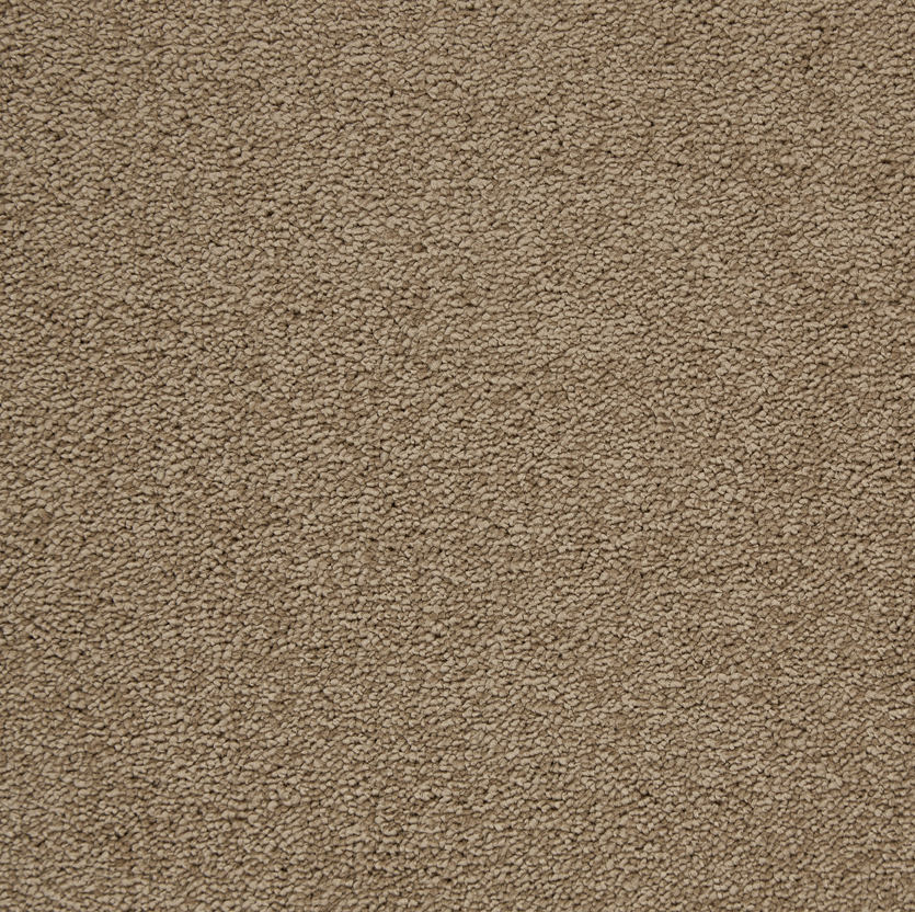 Modern Living Suede