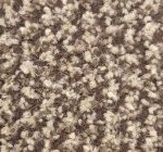 Arizona II Barrier Matting Beige